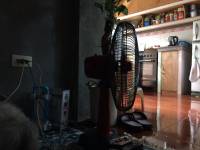 Old electric fan