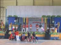 mr and ms intrams