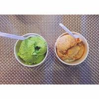 green tea, speculoos cookie butter, #icecream, #gela
