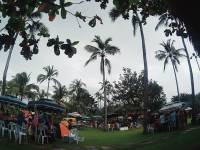 crowded place #Sinulog2017 #Mango