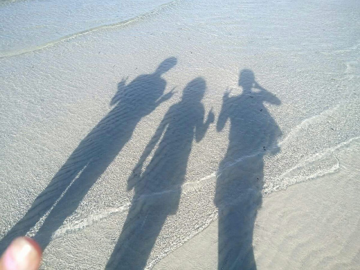 Shadows by the bay