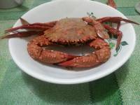 Sorry King Crab