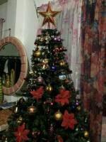 Colorful Christmas Tree 