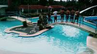 The beautiful swimming pool of Aroma, Carmen, Cebu