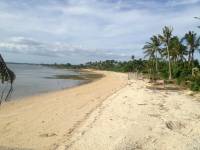 coconut, beach, white sand, sea, blue, province, weekend