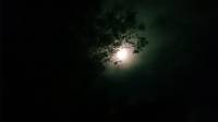 moon, night