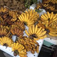 Bananas for sale, at the mercado