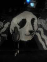blurry panda lover