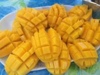Home made mango float