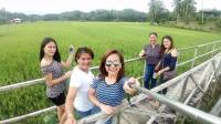 Nature, Rice Field, Family, Green Environment