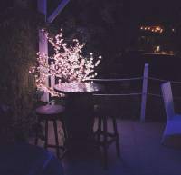 #nighttime, #relax, #relaxation, #cherryblossoms, #christmas, #christmaslights, #chair, #table, #night
