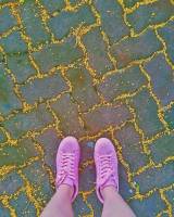 shoes, pink, 