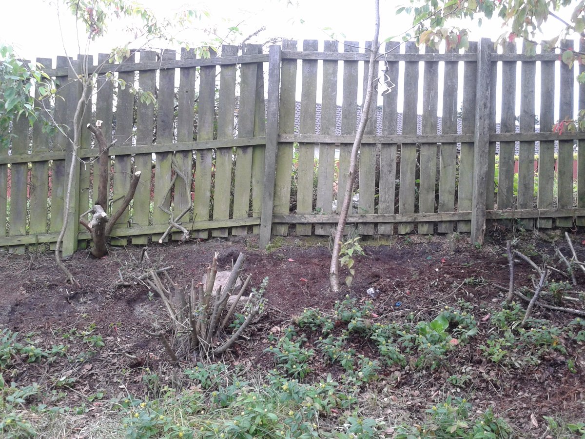 clearing the garden