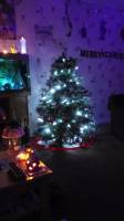 my christmas tree