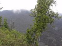pacaya volcano in the mist