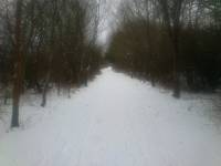 wintery walk