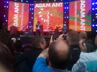 adam ant at rewind