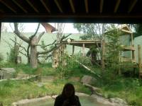edinburgh zoo, hes hiding in there somewhere