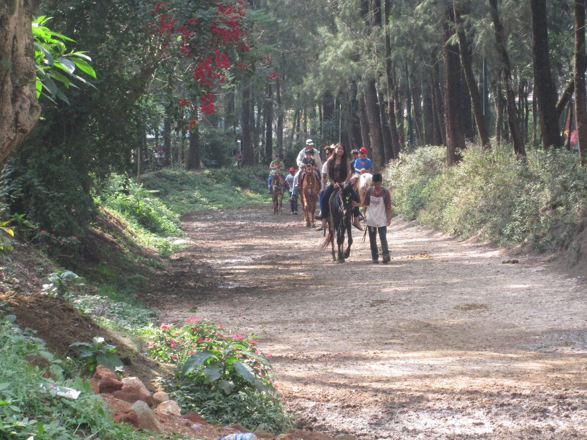 Horse Riding at Baguio