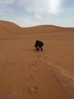 atv at the red sand desert