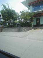 Shakeys