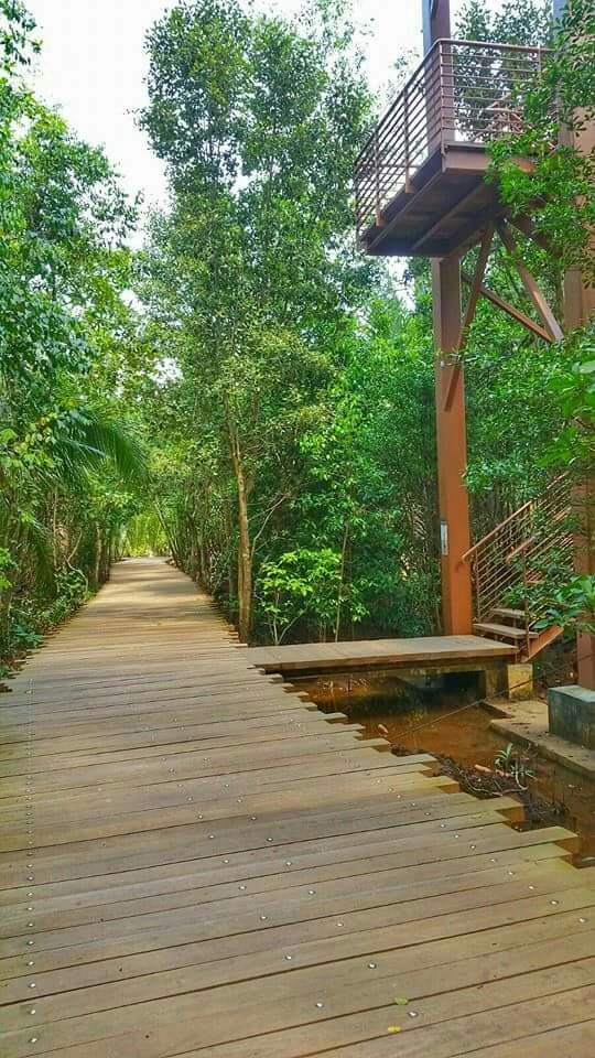hmmmm nature