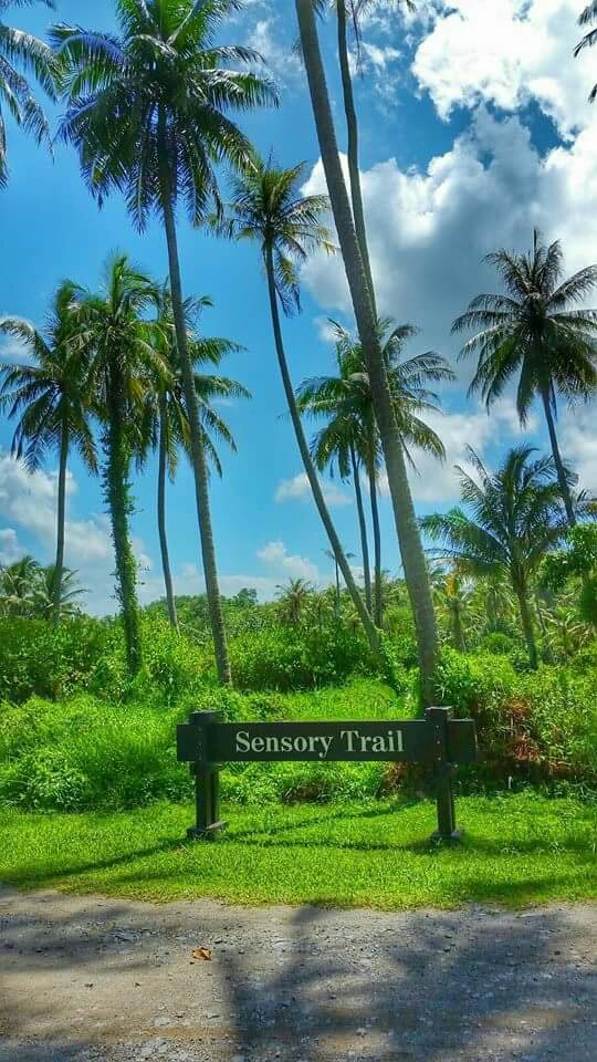 nature