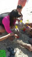 sand beach