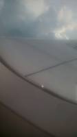 the wings