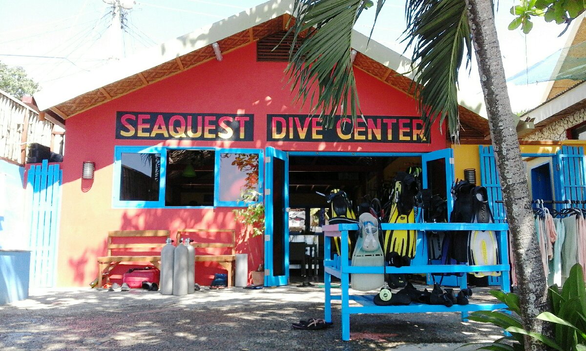 @Moalboal panagsama beach resort Diving lesson HA HA HA