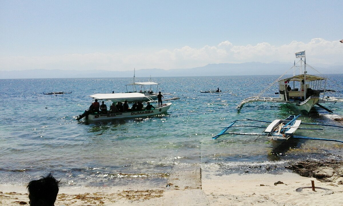 @Moalboal panagsama beach resort I will never forget this beautiful place 
