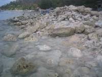 Rocks beach side