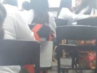 Reporting , research design, group presentation