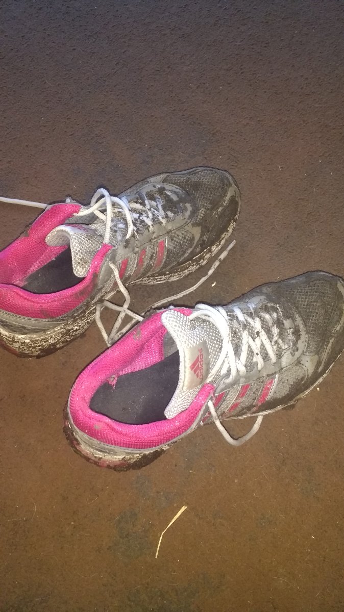 Muddy parkrun