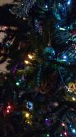 Kitten hiding in Xmas tree