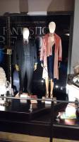 Fantastic beasts and where to find them