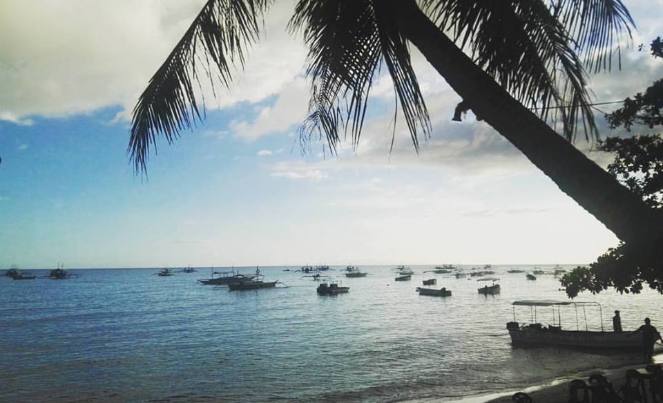 bohol, island, life, beach, 