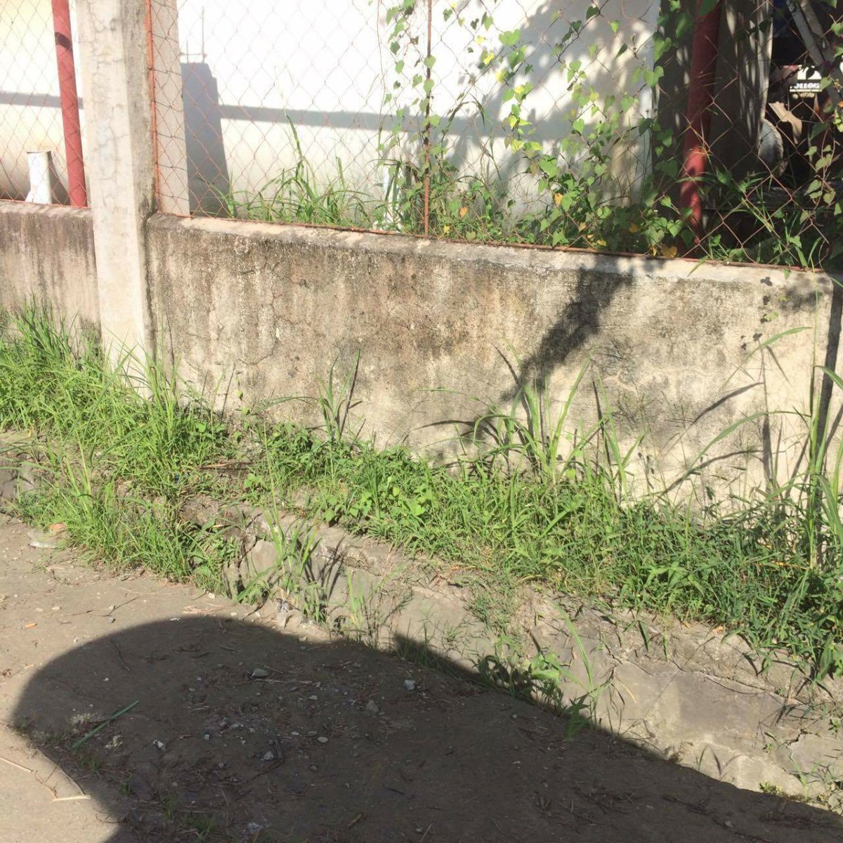 cebu, road, province