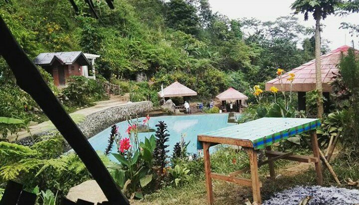 pool, nature