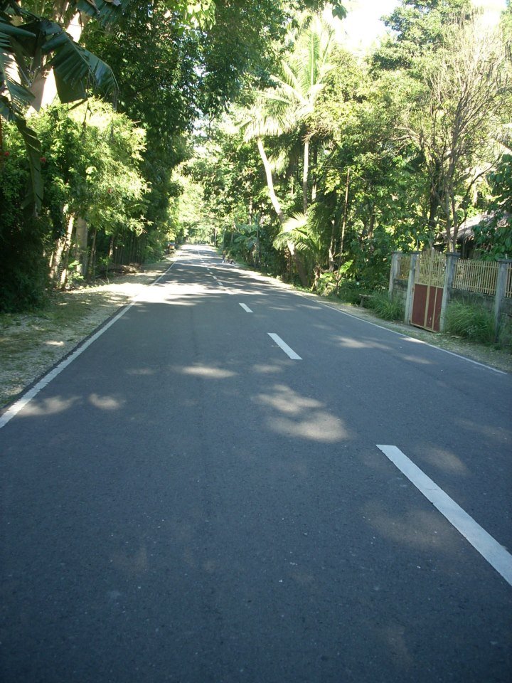 road, cebu, travel
