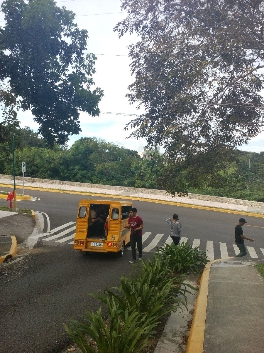 school, shuttle, usc
