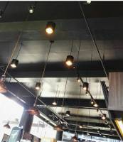 coffeebean, lights, christmas
