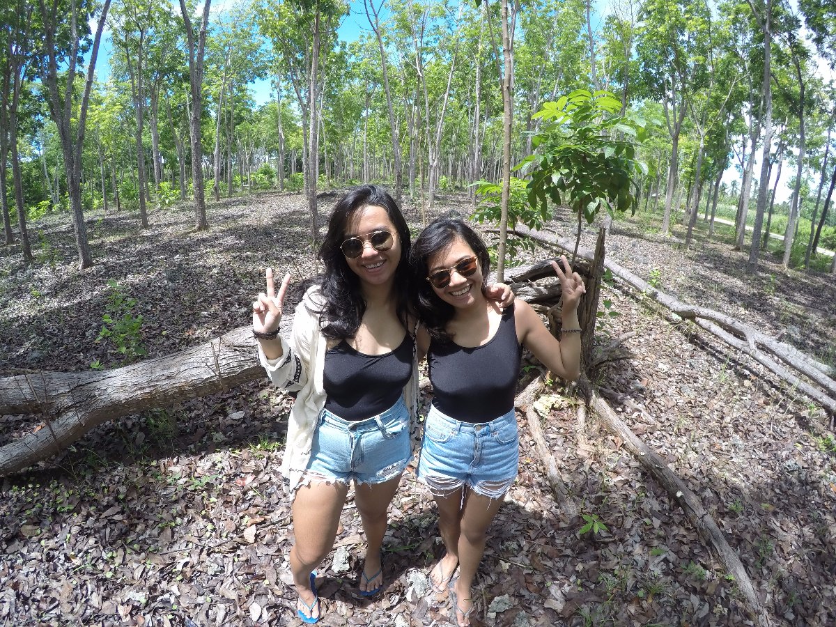 travel, cebu, forest, view