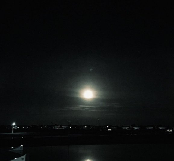 Moonlight