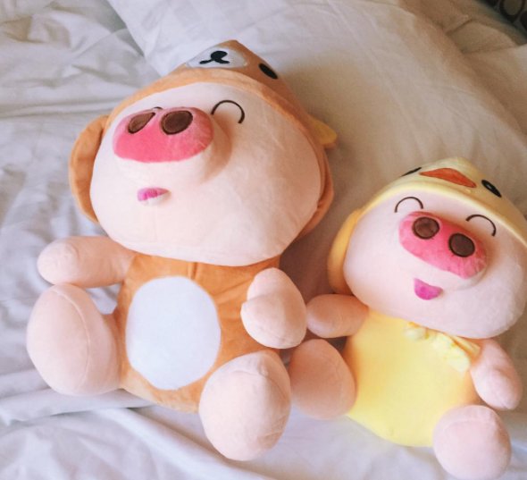 Piggy stuff toy