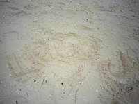 Leeza maybe written on the sands
