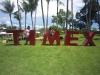 timex green grass coconut trees