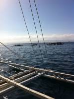 summer, love, swimming, island, hopping, sea, so, clear