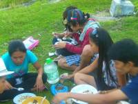picnic