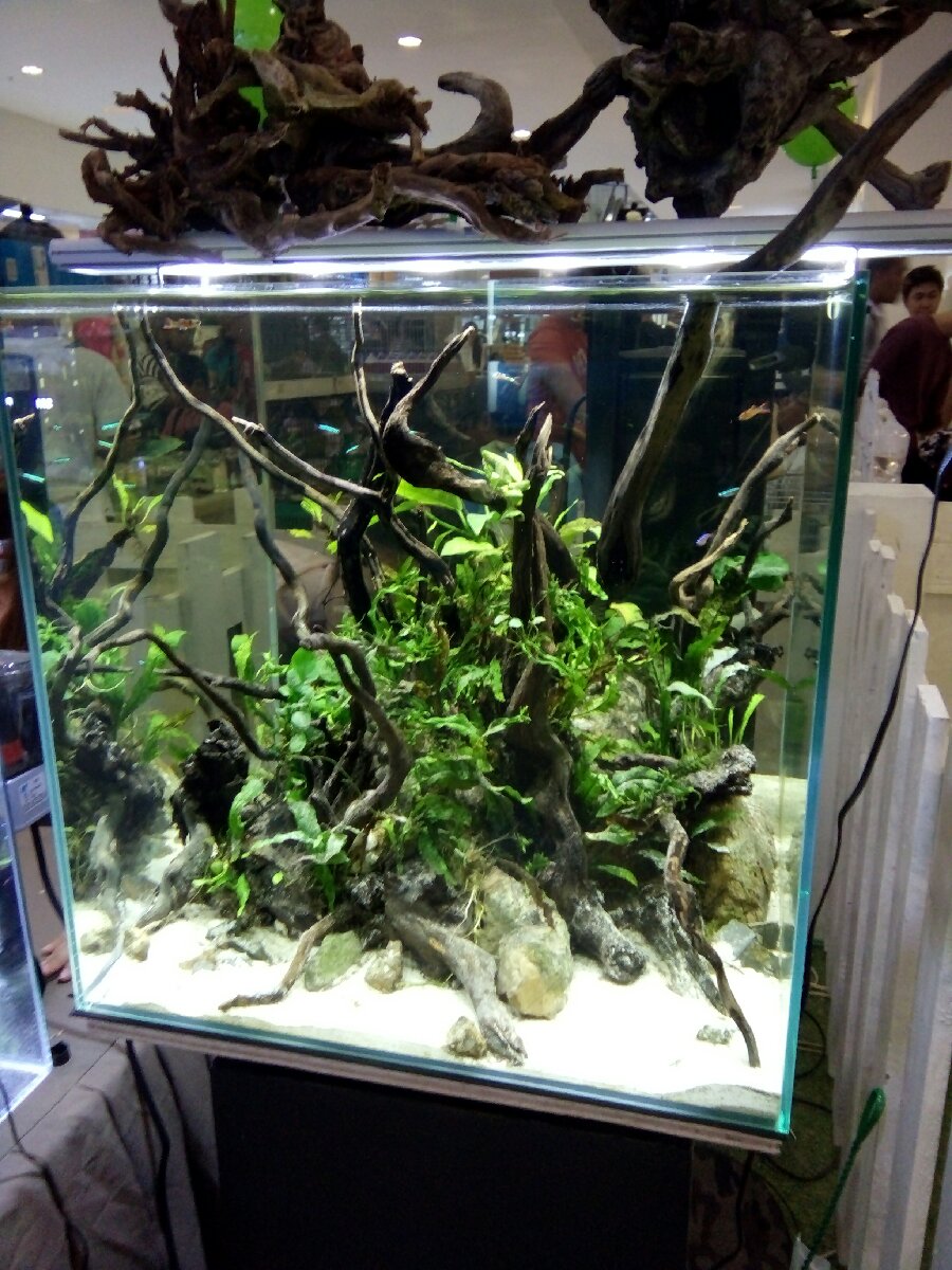 Aquarium
